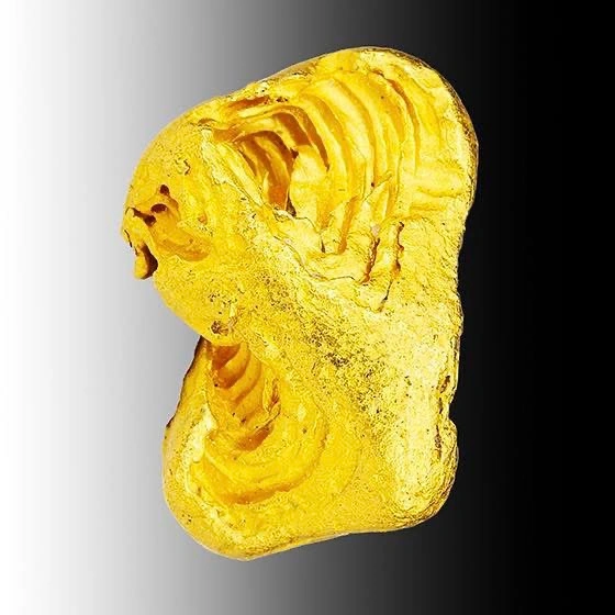Gold from Zapata Mine, Bolívar, Venezuela image