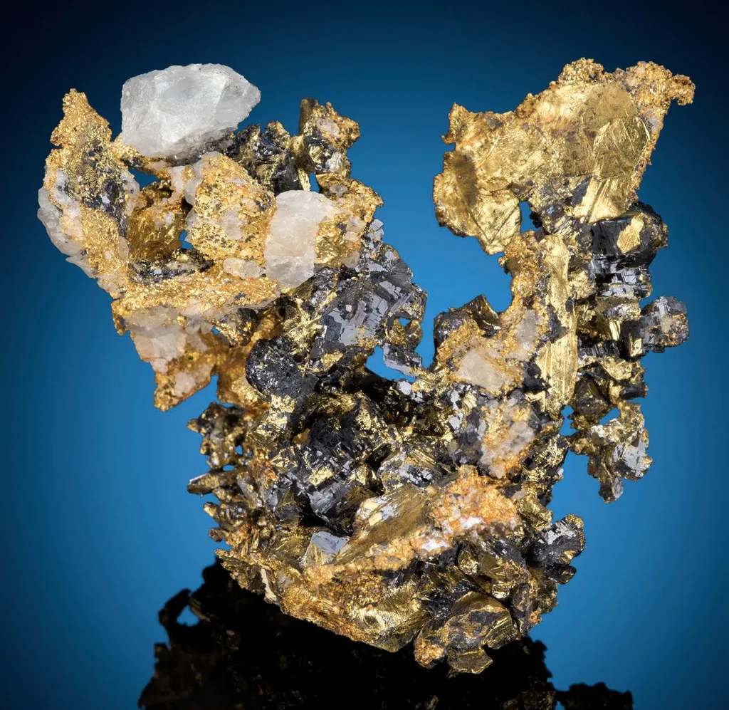Gold, Galena, Quartz image