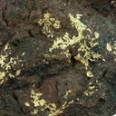 Gold, Hematite - image 2