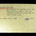 Gold, Hessite, Kutnohorite - image 6