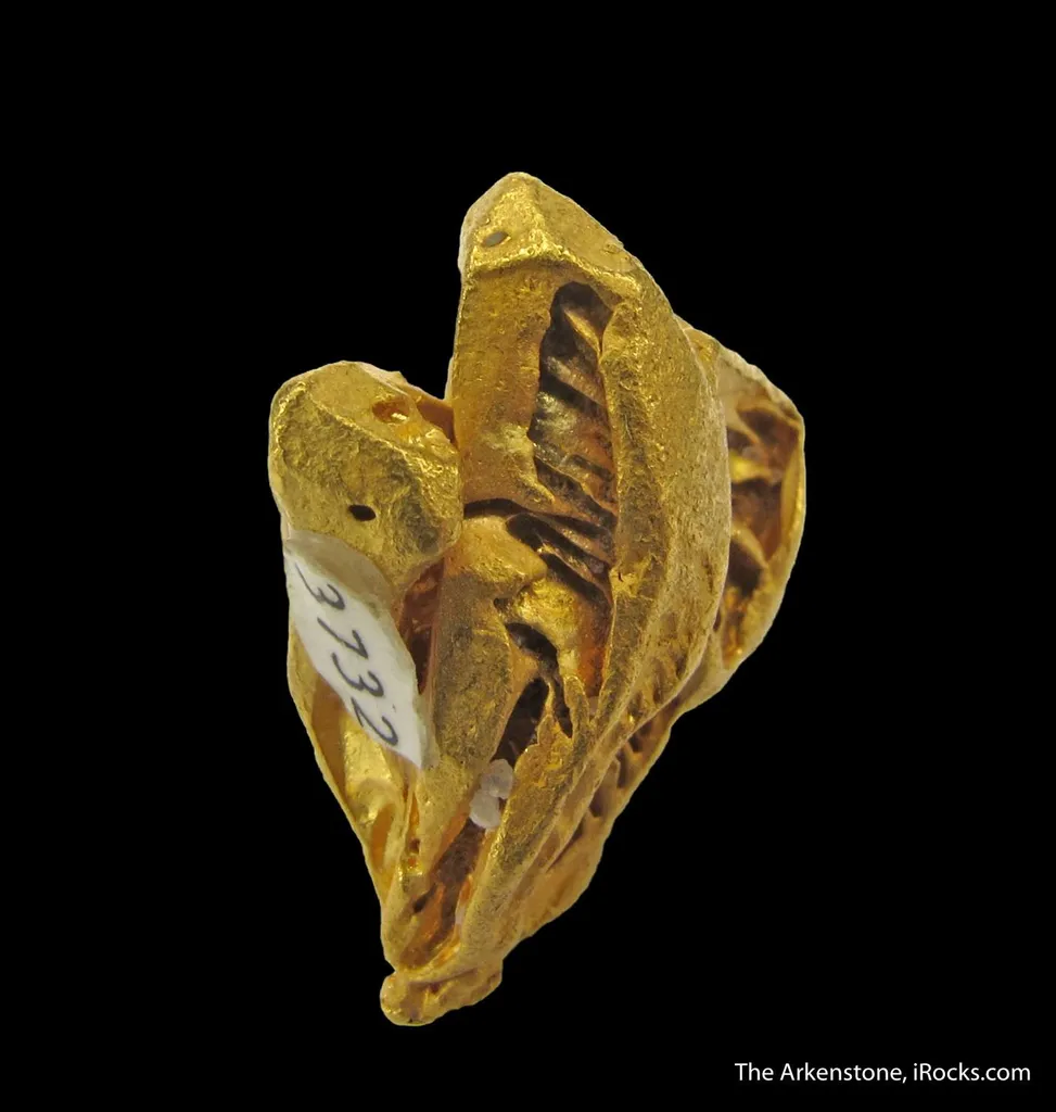 Gold (illustrated) - image 3