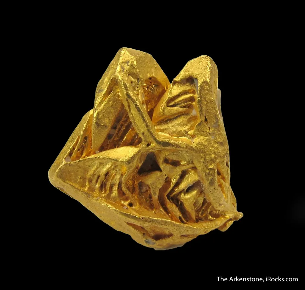 Gold (illustrated) - image 4
