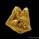 Gold (illustrated) - image 4