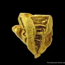 Gold (illustrated) - image 1