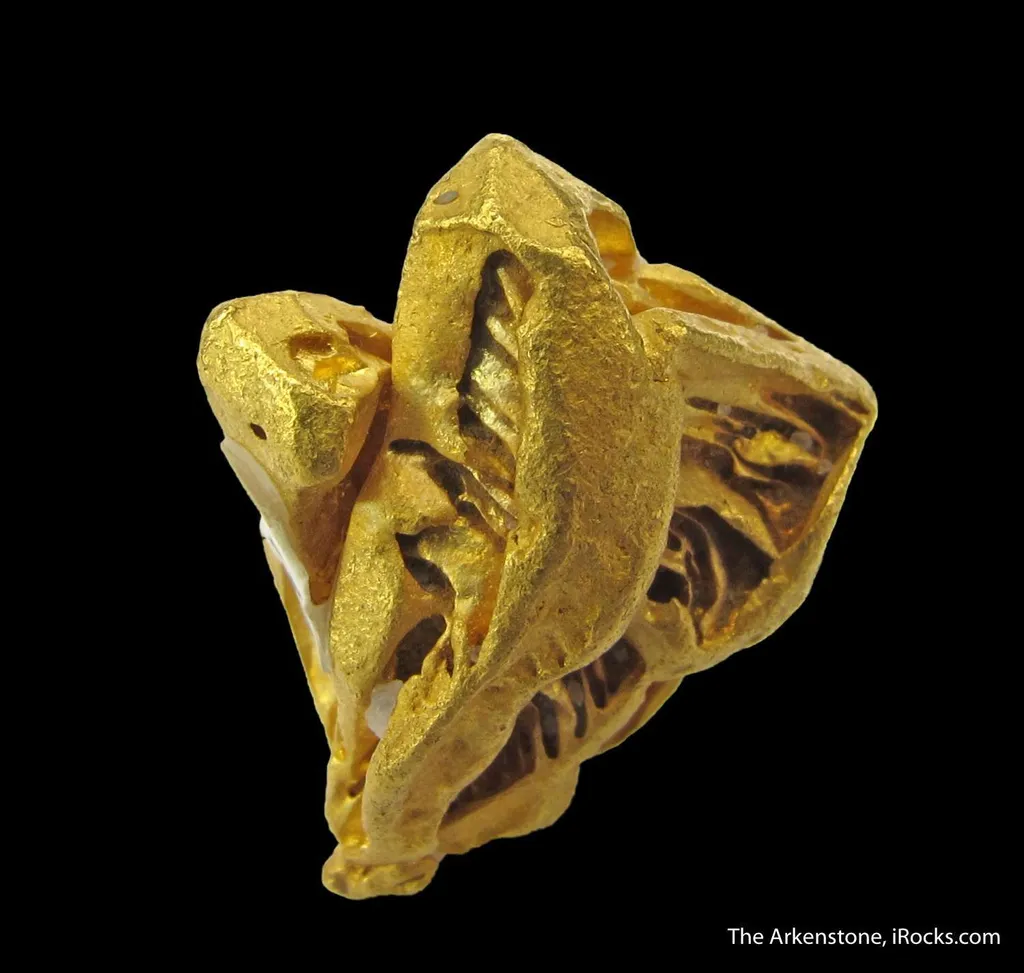 Gold (illustrated) - image 2