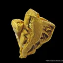 Gold (illustrated) - image 2