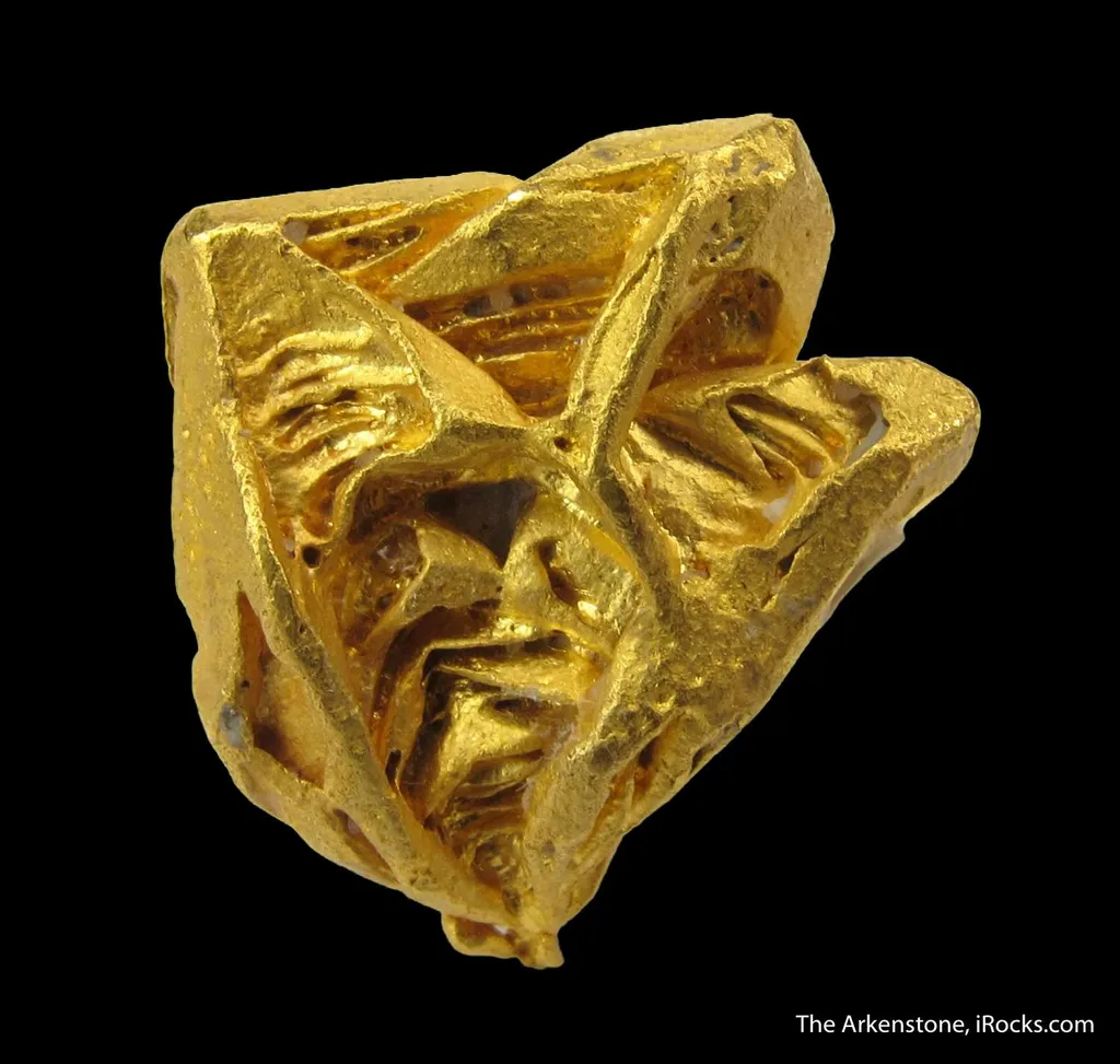 Gold (illustrated) - image 5