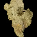 Gold (important USA locale) - image 5