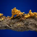 Gold in Arsenopyrite - image 1