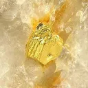Gold in Quartz - image 2