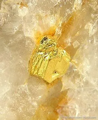 Gold in Quartz - image 2