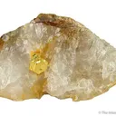 Gold in Quartz - image 1