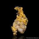 Gold in Quartz - image 5
