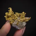 Gold in Quartz - image 1