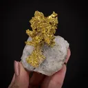 Gold in Quartz - image 1