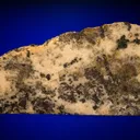 Gold in Quartz - image 1