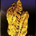 Gold (Large Spinel-Twinned Crystal) - image 5