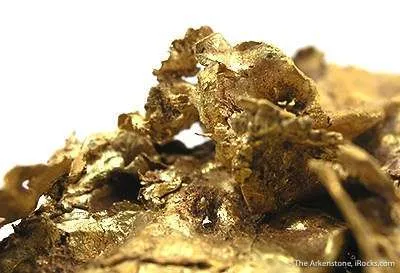 Gold Leaf - image 3