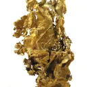 Gold Leaf - image 1