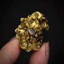 Gold (leaf) - image 1