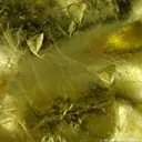 Gold (leaf Gold) - image 7