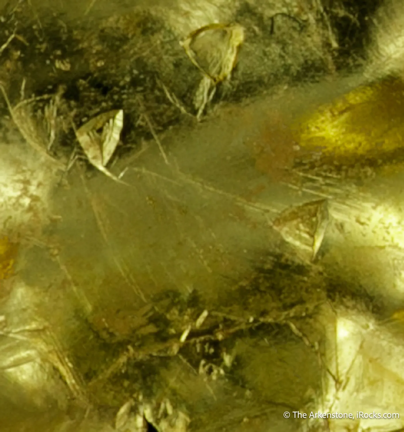 Gold (leaf Gold) - image 7