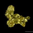 Gold (leaf Gold) - image 6