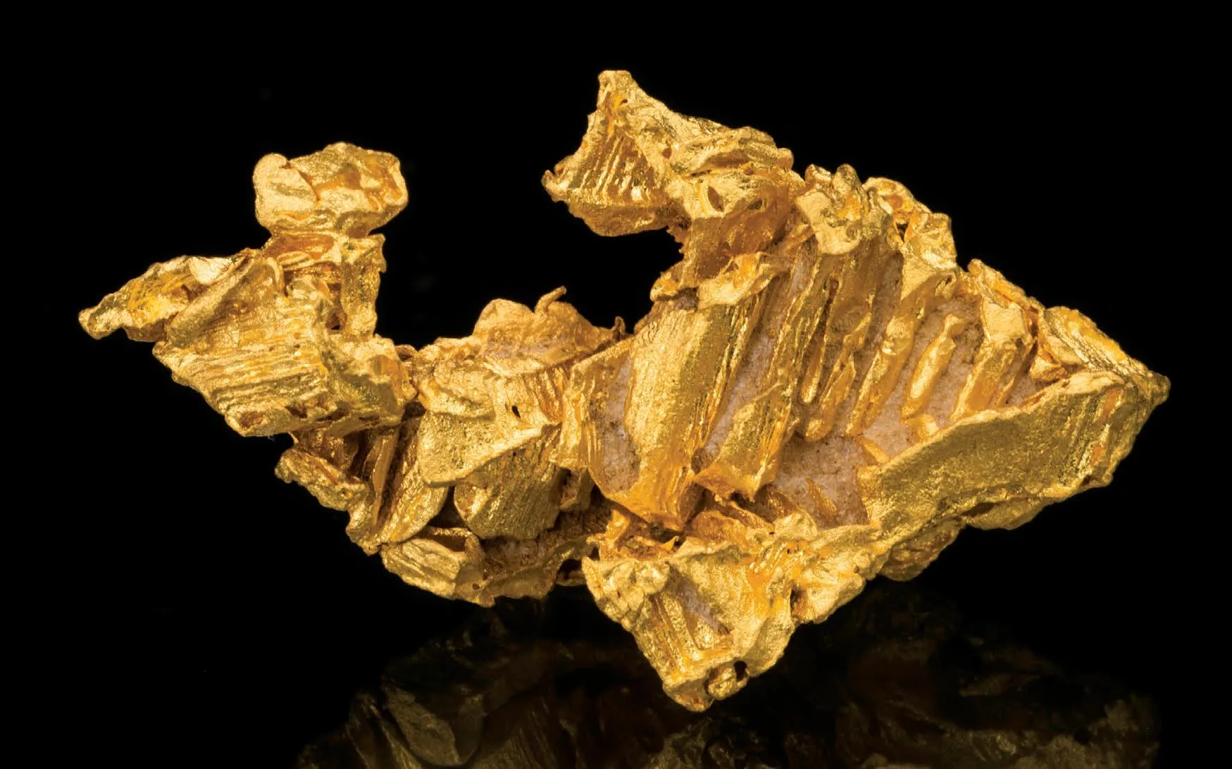 Gold (“Mr. Shark”) - image 1