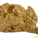 Gold Nugget - image 1