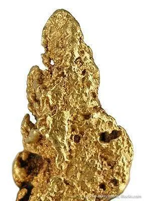 Gold Nugget - image 2