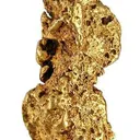 Gold Nugget - image 1