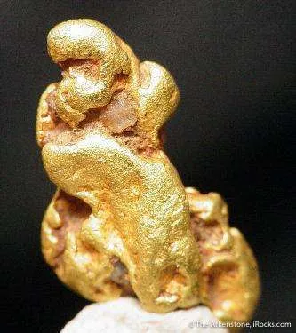 Gold Nugget - image 2