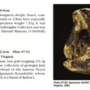 Gold nugget - image 1