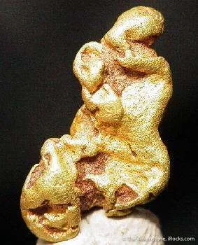 Gold Nugget image