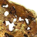 Gold Octahedral Hopper Crystal - image 2