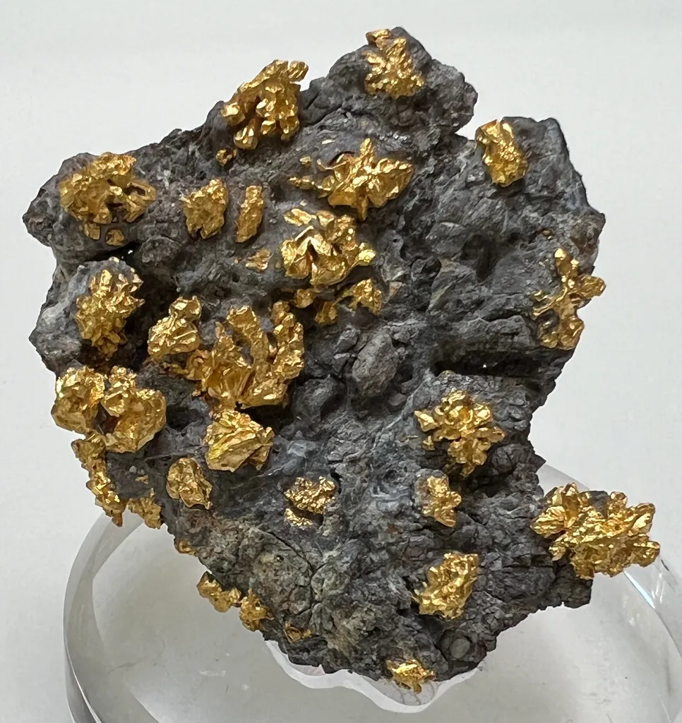 Gold on Arsenopyrite image