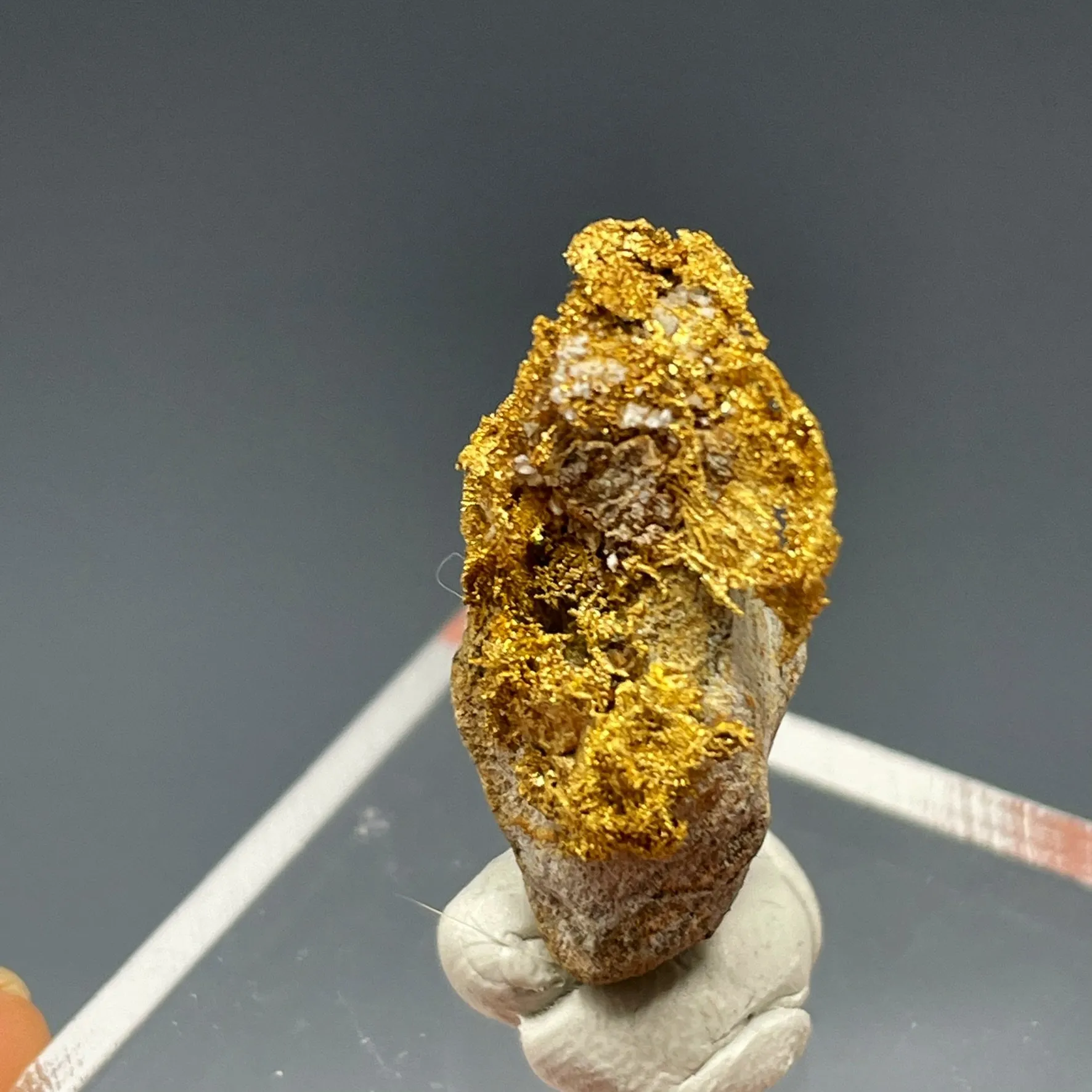 Gold on Matrix Stormy Claims Ten Mile Mining District Humboldt Co. - image 3