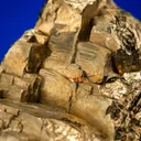 Gold on Pyrite - image 2