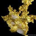 Gold on Quartz - image 6