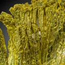 Gold on Quartz - image 2