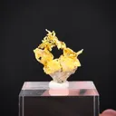 Gold on Quartz - image 1