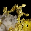 Gold on Quartz - image 5