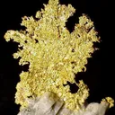 Gold on Quartz - image 3