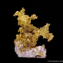 Gold on Quartz - image 5