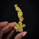 Gold on Quartz - image 1