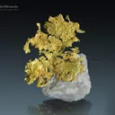 Gold on Quartz from California USA - image 1