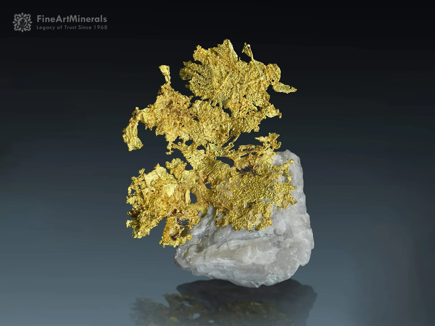 Gold on Quartz from California USA - image 1