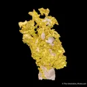 Gold on Quartz matrix - image 5