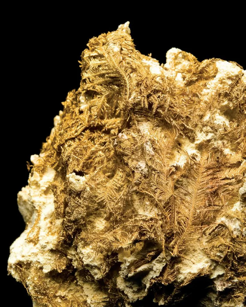 Gold (palladium-rich) on Calcite image