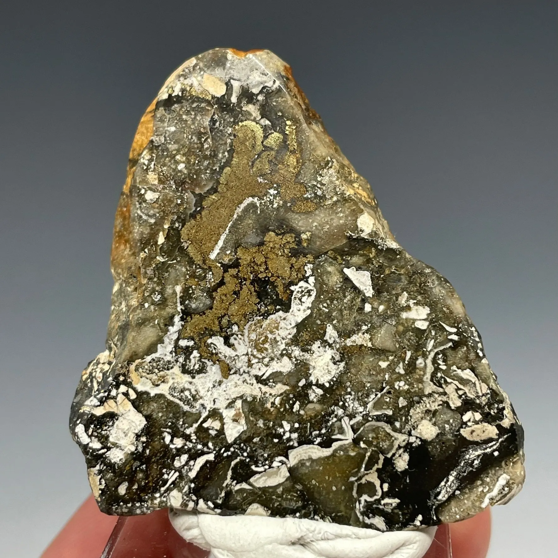 Gold Polished Ore Section Sleeper Mine Awakening Mining District Humboldt Co. - image 4